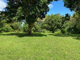 House for Sale St. Ann, Ocho Rios