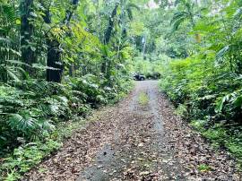 Development Land (Residential) for Sale Portland, 