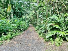 Development Land (Residential) for Sale Portland, 