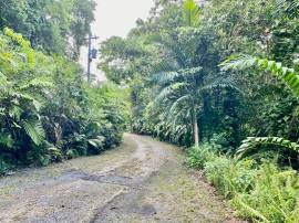 Development Land (Residential) for Sale Portland, 