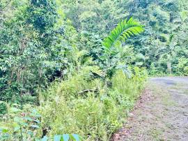 Development Land (Residential) for Sale Portland, 