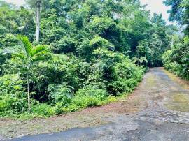 Development Land (Residential) for Sale Portland, 