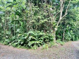 Development Land (Residential) for Sale Portland, 