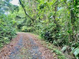 Development Land (Residential) for Sale Portland, 