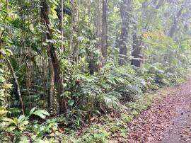 Development Land (Residential) for Sale Portland, 