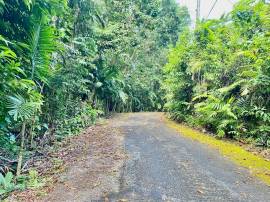 Development Land (Residential) for Sale Portland, 
