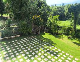 House for Sale Westmoreland, Negril