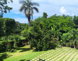 House for Sale Westmoreland, Negril