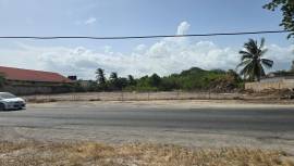Commercial Lot for Sale St. Catherine, Spanish Tow
