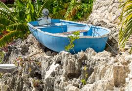 Resort Apartment/Villa for Sale St. Elizabeth, Cal