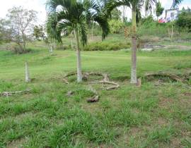 House for Sale Manchester, Hatfield