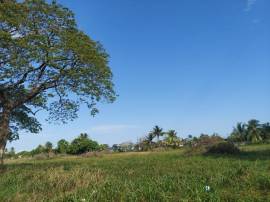 Development Land (Residential) for Sale St. Cather