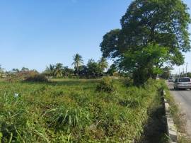 Development Land (Residential) for Sale St. Cather