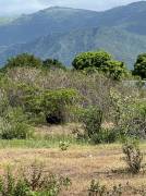 Development Land (Residential) for Sale St. Thomas