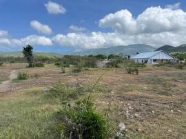 Development Land (Residential) for Sale St. Thomas