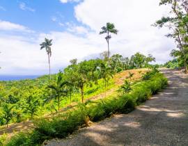 Development Land (Residential) for Sale Portland, 