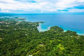 Development Land (Residential) for Sale Portland, 