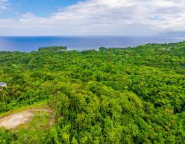 Development Land (Residential) for Sale Portland, 