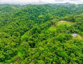 Development Land (Residential) for Sale Portland, 