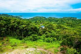 Development Land (Residential) for Sale Portland, 