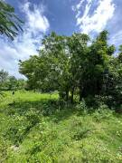 Development Land (Residential) for Sale Hanover, C