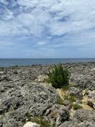 Development Land (Residential) for Sale Hanover, C