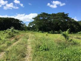 Residential Lot for Sale St. Thomas, Bath