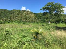 Residential Lot for Sale St. Thomas, Bath