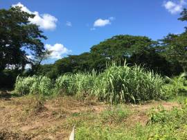 Residential Lot for Sale St. Thomas, Bath