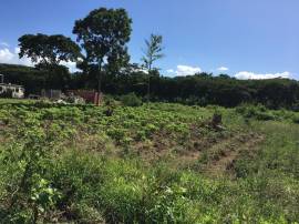 Residential Lot for Sale St. Thomas, Bath