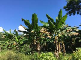 Residential Lot for Sale St. Thomas, Bath