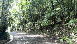 Development Land (Residential) for Sale Portland, 