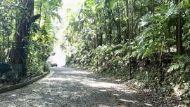 Development Land (Residential) for Sale Portland, 