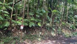 Development Land (Residential) for Sale Portland, 