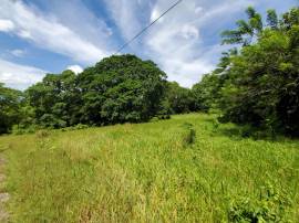 Development Land (Residential) for Sale St. Mary, 