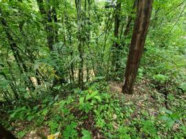 Development Land (Residential) for Sale St. Mary, 