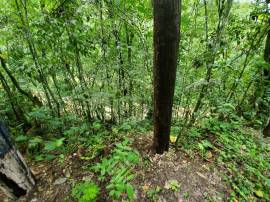 Development Land (Residential) for Sale St. Mary, 