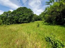 Development Land (Residential) for Sale St. Mary, 
