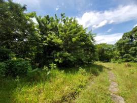 Development Land (Residential) for Sale St. Mary, 
