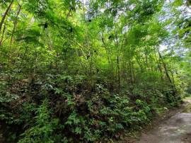 Development Land (Residential) for Sale St. Mary, 