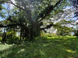 Development Land (Residential) for Sale St. Mary, 