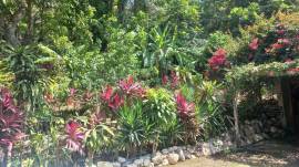 House for Sale St. Mary, Tower Isle