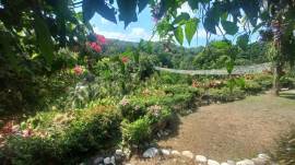 House for Sale St. Mary, Tower Isle