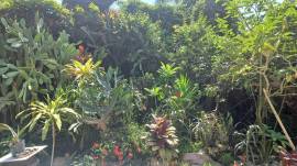 House for Sale St. Mary, Tower Isle