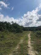 Development Land (Residential) for Sale Hanover, L