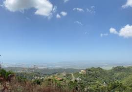 Development Land (Residential) for Sale Kingston &