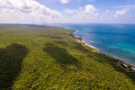 Development Land (Residential) for Sale Clarendon,