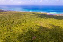 Development Land (Residential) for Sale Clarendon,