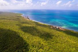 Development Land (Residential) for Sale Clarendon,