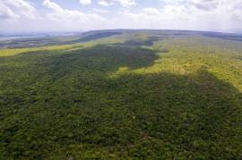 Development Land (Residential) for Sale Clarendon,